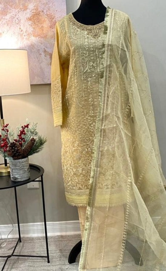 BEIGE YELLOW ORGANZA 3-PIECE SUIT